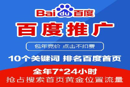 SEM广告投放的创意与执行：成功案例剖析